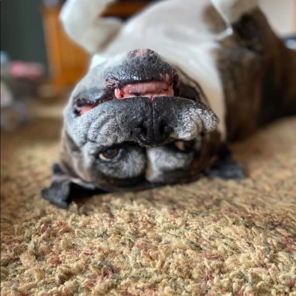 Meet your Posher, Miranda - Picture 1 of 1